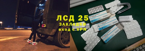 a pvp Каменногорск