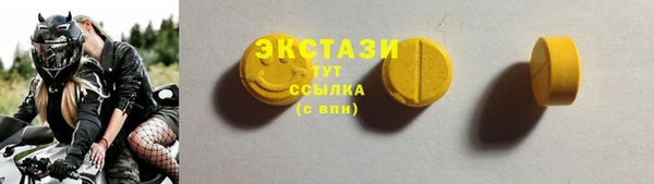 ECSTASY Алзамай