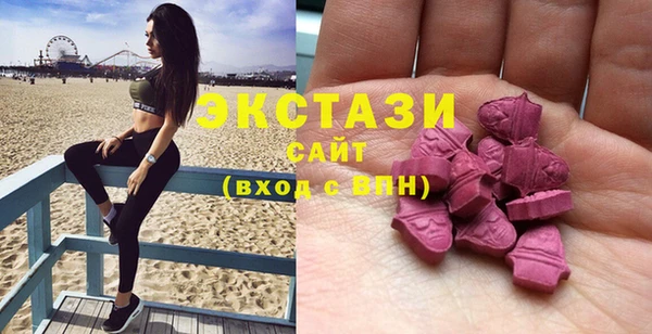 ECSTASY Алзамай