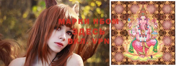 молекула духа Алексин