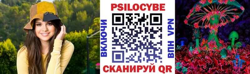 Галлюциногенные грибы MAGIC MUSHROOMS  блэк спрут онион  Чадан  купить  