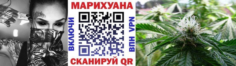 kraken tor  как найти закладки  Чадан  МАРИХУАНА SATIVA & INDICA 